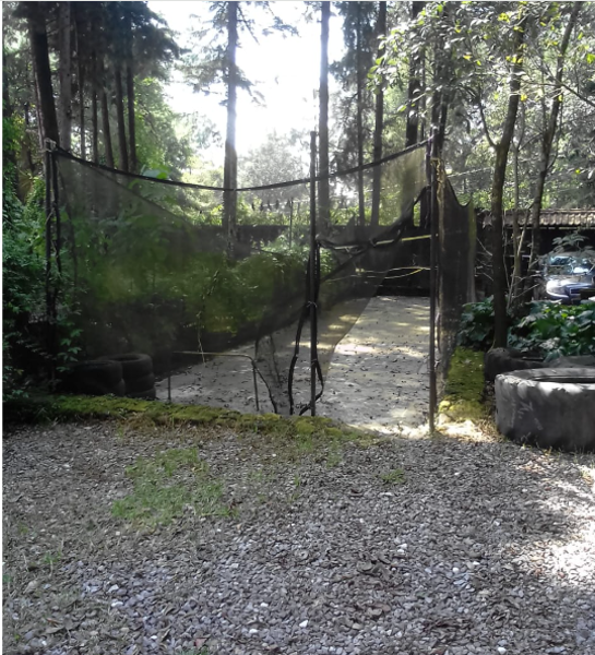 Casa en venta en Huitzilac, Huitzilac — foto 3 de 19