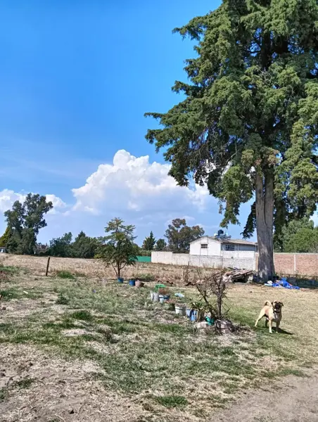 Terreno en venta en Zavaleta, San Damián Texoloc — foto 2 de 5