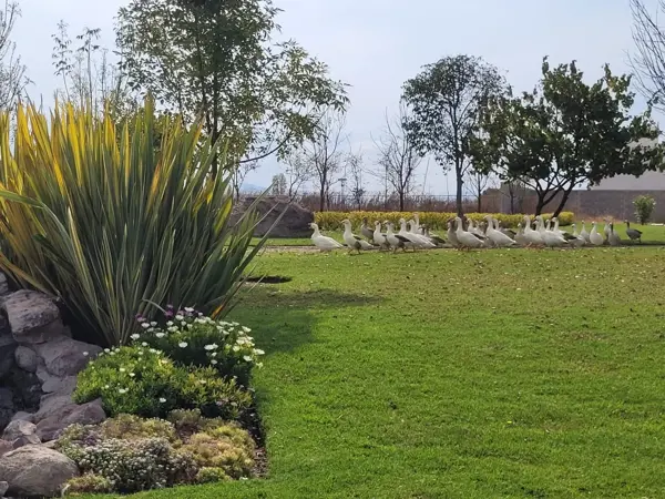 Terreno en venta en La Cueva, Corregidora — foto 2 de 11