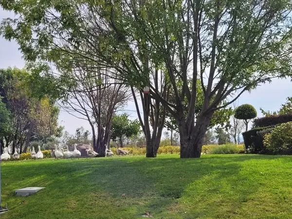 Terreno en venta en La Cueva, Corregidora — foto 3 de 11