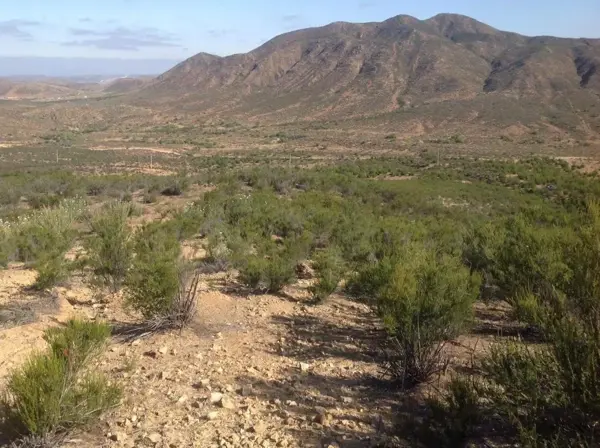 Terreno en venta en Tecate, Tecate — foto 2 de 6