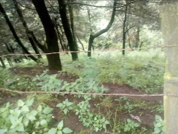 Terreno en Venta en Independencia, Ixtapaluca, México