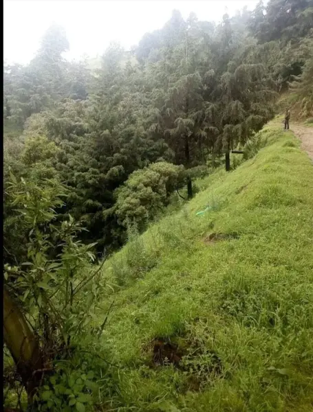 Terreno en venta en Independencia, Ixtapaluca — foto 2 de 5