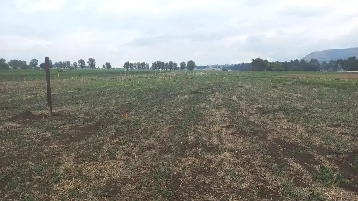 Terreno en venta en Santiago Cuauhtenco, Amecameca — foto 1 de 2