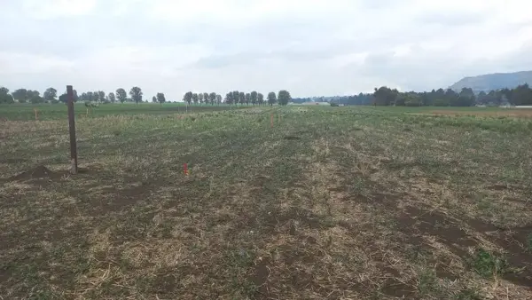 Terreno en Venta en Santiago Cuauhtenco, Amecameca, México