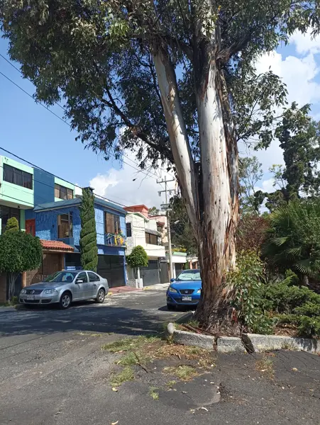 Casa en venta en Ciudad Brisa, Naucalpan de Juárez — foto 3 de 4