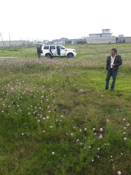 Terreno en venta en La Candelaria Tlapala, Chalco — foto 3 de 8