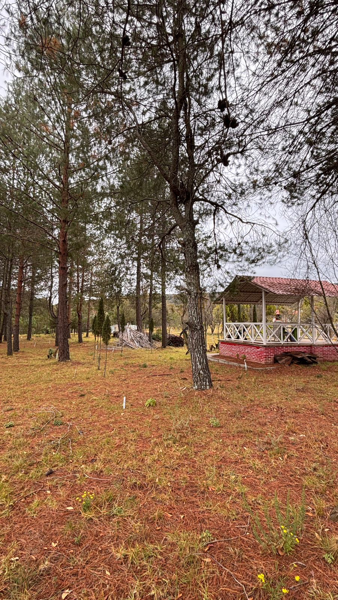 Terreno en venta en Bermúdez, Huasca de Ocampo — foto 3 de 8