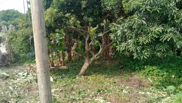 Terreno en venta en Anacleto Canabal 2da. Sección, Centro — foto 3 de 3