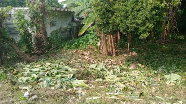 Terreno en venta en Anacleto Canabal 2da. Sección, Centro — foto 2 de 3