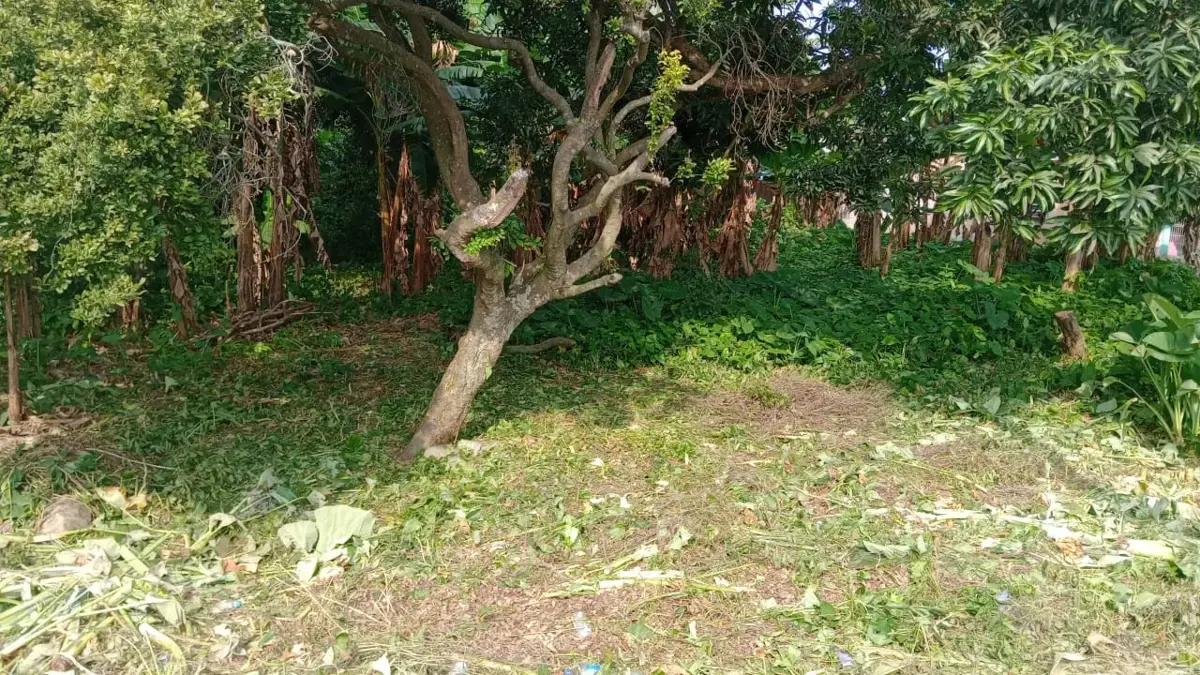 Terreno en venta en Anacleto Canabal 2da. Sección, Centro — foto 1 de 3