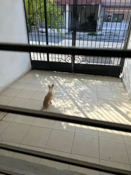 Casa en venta en Jardines del Río, Guadalupe — foto 3 de 8