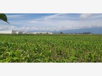 Terreno en venta en Santa Maria Moyotzingo, San Martín Texmelucan — foto 2 de 6