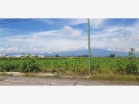 Terreno en venta en Santa Maria Moyotzingo, San Martín Texmelucan — foto 3 de 6