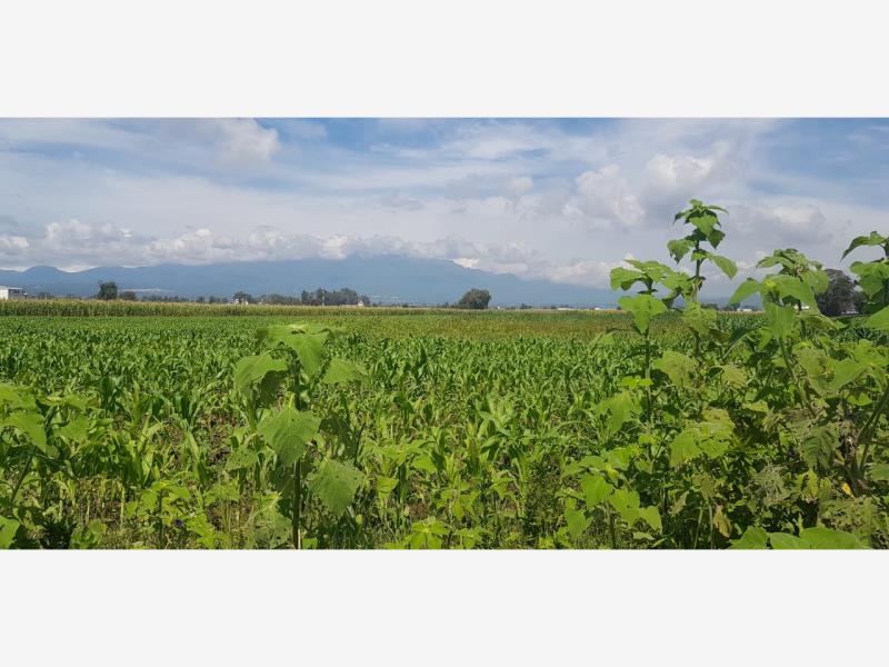 Terreno en venta en Santa Maria Moyotzingo, San Martín Texmelucan — foto 1 de 6