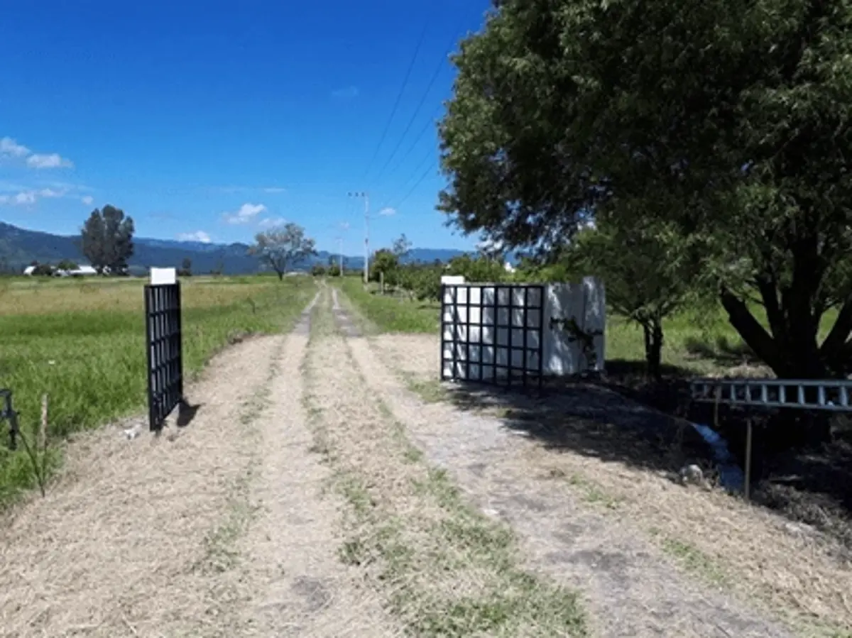 Terreno en venta en Pilcaya, Pilcaya — foto 1 de 9
