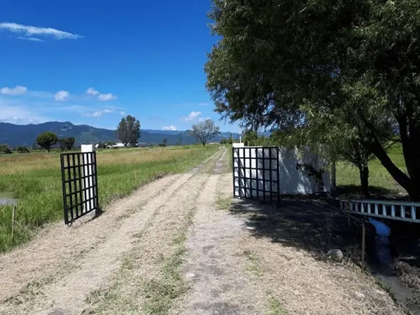Terreno en venta en Pilcaya, Pilcaya — foto 2 de 9