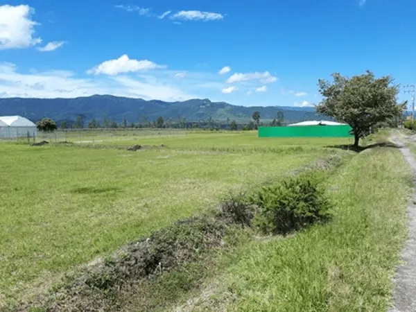 Terreno en venta en Pilcaya, Pilcaya — foto 3 de 9