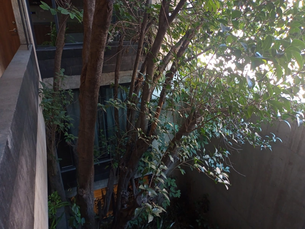 Departamento en venta en Mixcoac, Benito Juárez — foto 3 de 17