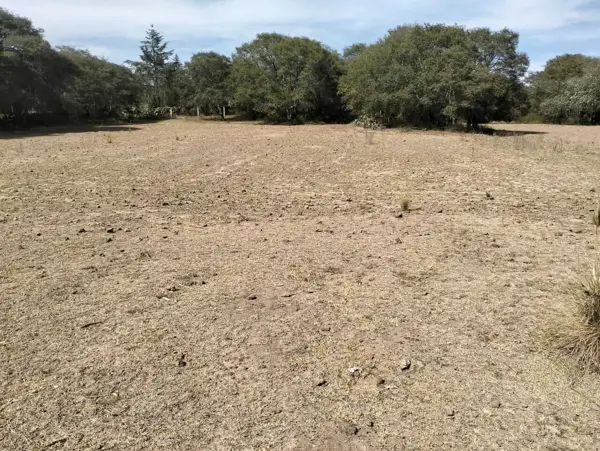 Terreno en venta en Chignahuapan, Chignahuapan — foto 3 de 10