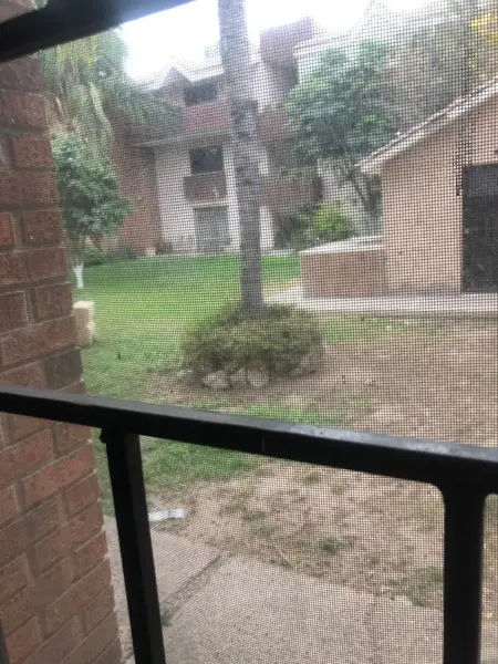 Departamento en Renta en Residencial el Fresno, Torreón, Coahuila de Zaragoza