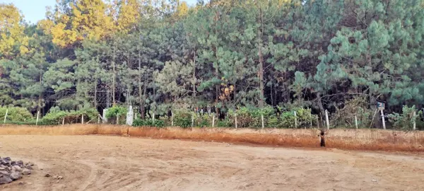 Terreno en venta en San Bartolo, Amanalco — foto 3 de 6
