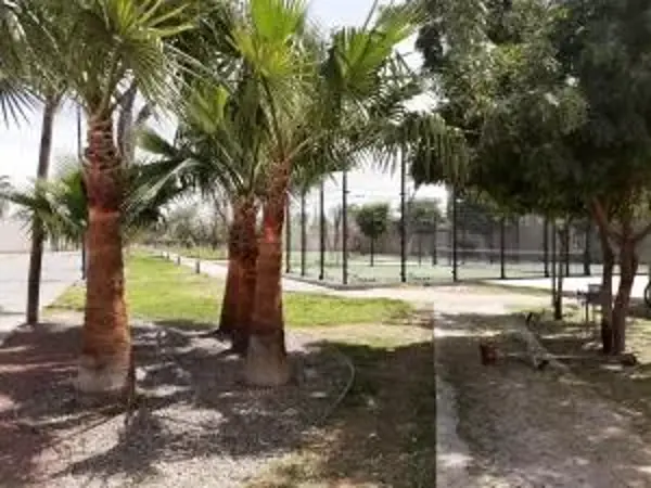 Terreno en venta en Residencial las Isabeles, Torreón — foto 3 de 6