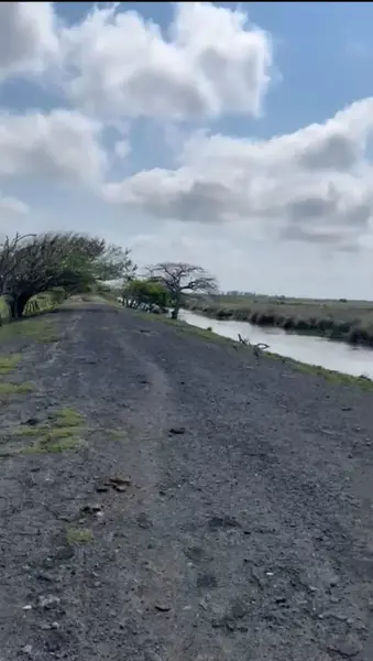 Terreno en venta en Alvarado Centro, Alvarado — foto 2 de 10