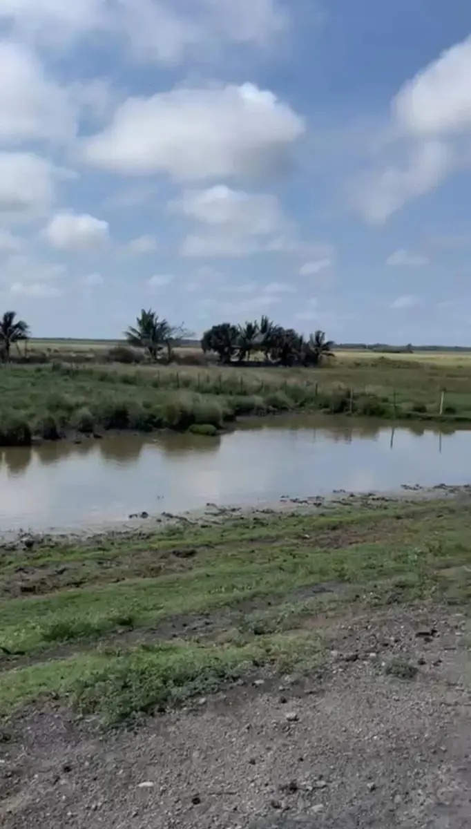 Terreno en venta en Alvarado Centro, Alvarado — foto 1 de 10