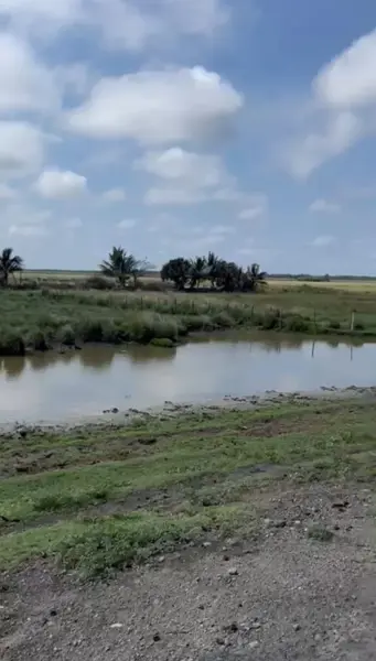 Terreno Comercial en Venta en Alvarado Centro, El Mediadero, Veracruz