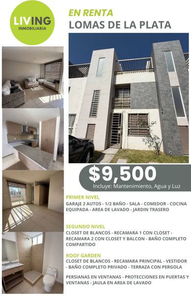 Casa en renta en Lomas de la Plata, Pachuca de Soto — foto 2 de 16