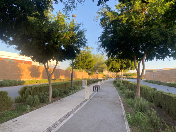 Terreno en venta en El Cardenchal, Torreón — foto 3 de 6