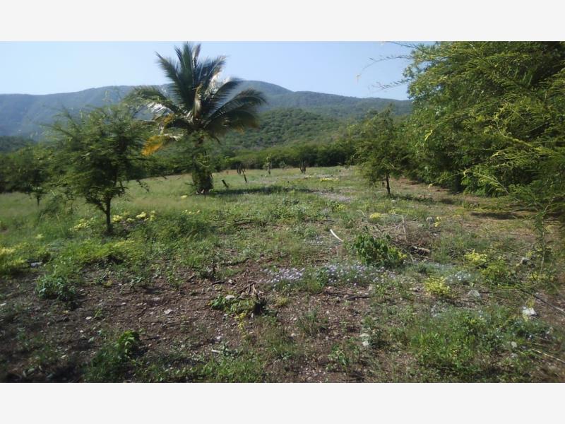 Terreno en venta en Coquimatlan 10 hectareas con agua de paja, Coquimatlán