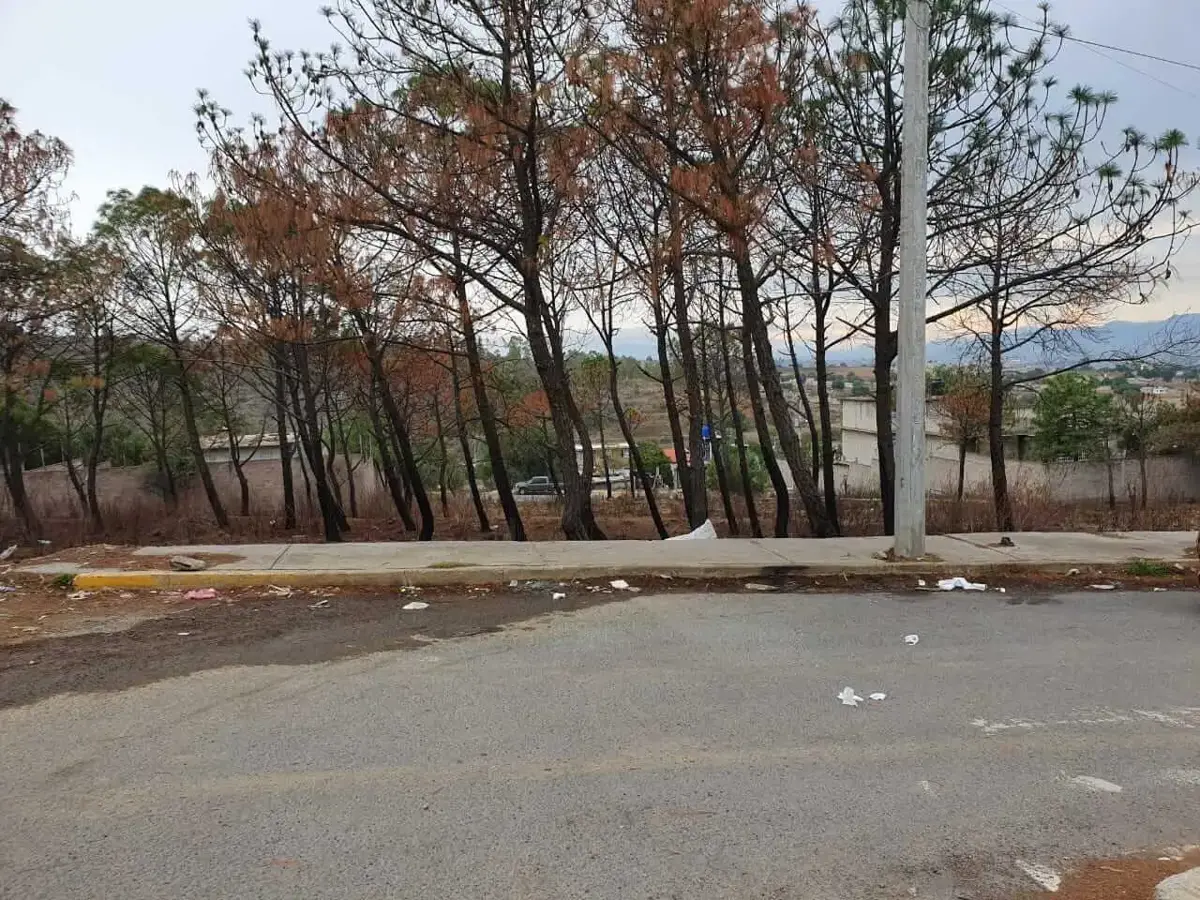 Terreno en venta en San Francisco Acuautla, Ixtapaluca — foto 1 de 5
