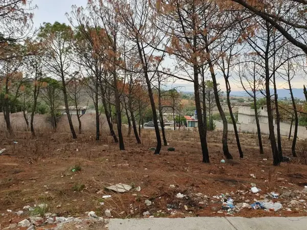 Terreno en venta en San Francisco Acuautla, Ixtapaluca — foto 3 de 5