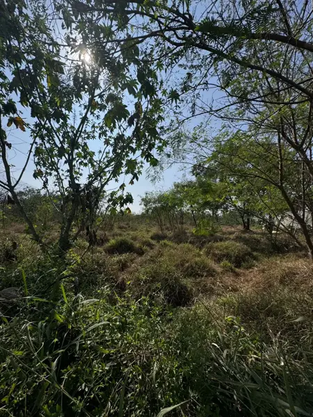 Terreno en renta en Guadalupe Centro, Guadalupe — foto 2 de 6