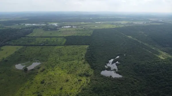 Terreno en venta en Topila, Tampico Alto — foto 3 de 16
