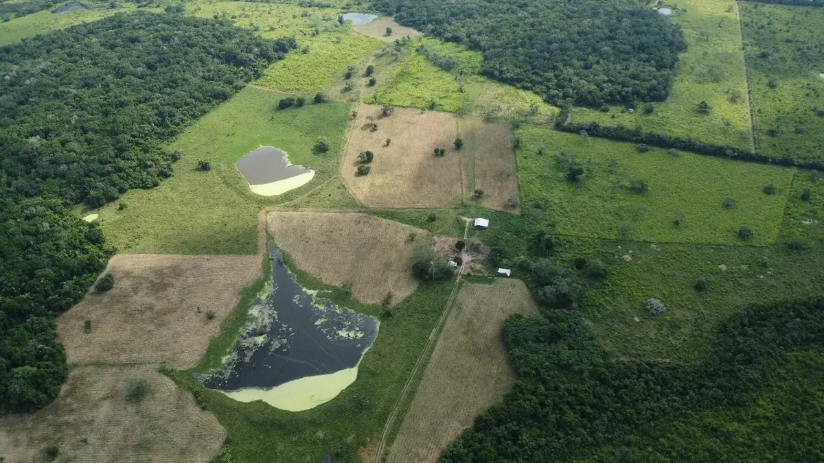 Terreno en venta en Topila, Tampico Alto — foto 1 de 16