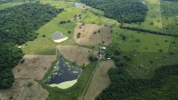 Rancho en Venta en Topila, Tampico Alto, Veracruz de Ignacio de la Llave