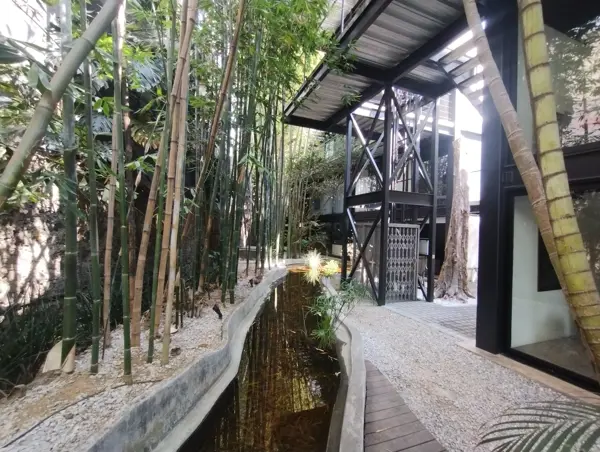 Departamento en venta en Tetela del Monte, Cuernavaca — foto 3 de 15