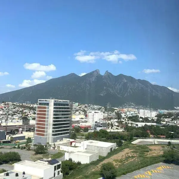 Departamento en renta en Del Valle Oriente, San Pedro Garza García — foto 3 de 17
