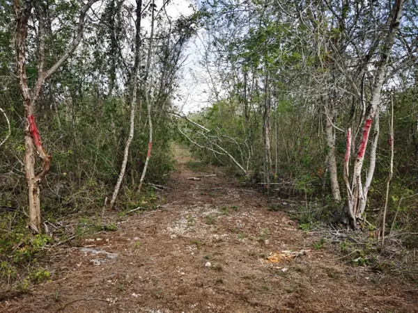 Terreno en venta en Xcunya, Mérida — foto 3 de 12