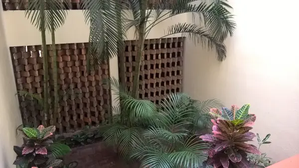 Departamento en renta en Colomos Providencia, Guadalajara — foto 3 de 20