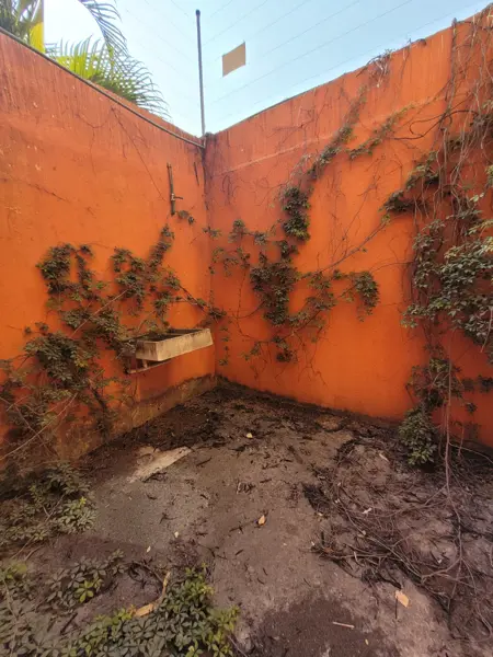 Casa en venta en Cocoyoc, Yautepec — foto 2 de 16