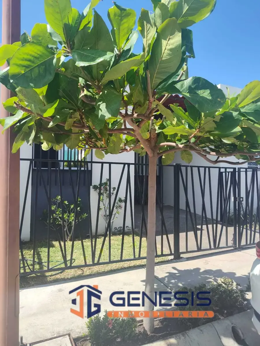 Casa en renta en Punta Diamante Residencial, Villa de Álvarez — foto 1 de 6