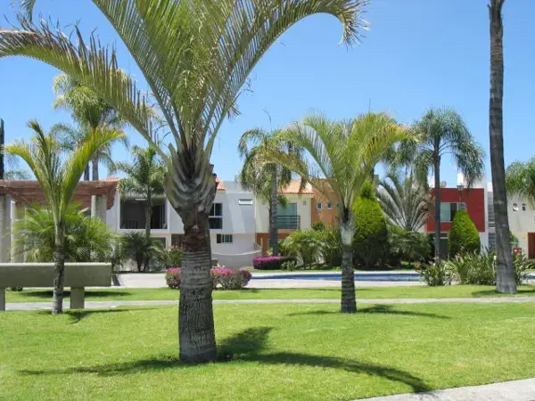 Casa en renta en Nueva Galicia Residencial, Tlajomulco de Zúñiga — foto 2 de 26