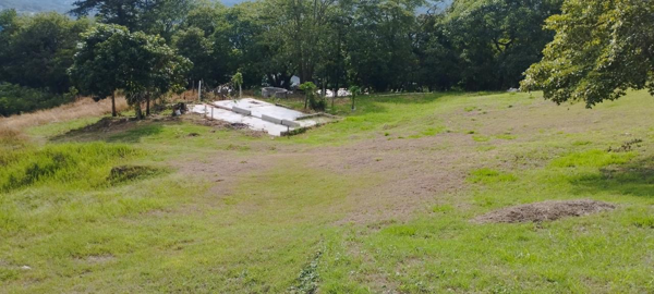 Terreno en venta en Alvaro Obregon, San Fernando — foto 3 de 7
