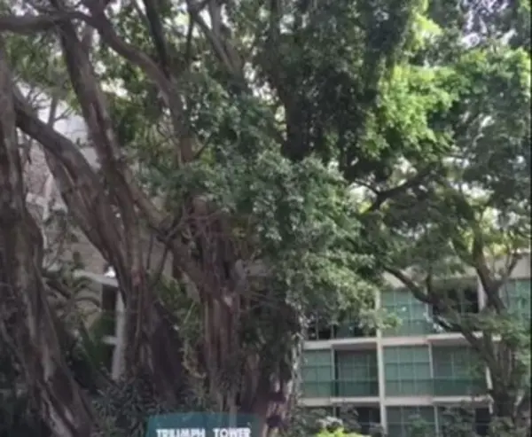 Departamento en venta en Jacarandas, Cuernavaca — foto 3 de 10