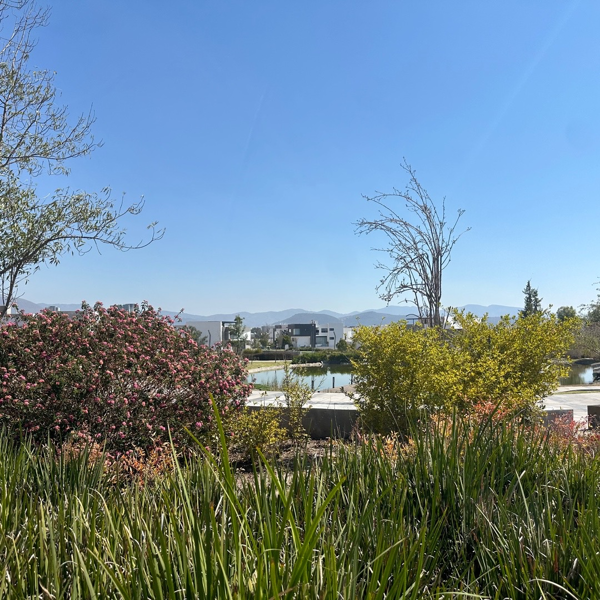 Terreno en venta en Residencial Lagos, Pachuca de Soto — foto 3 de 31