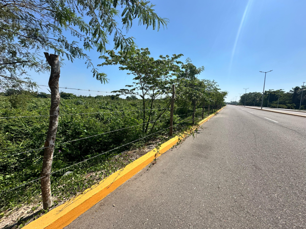 Terreno en venta en Siderúrgica Lázaro Cárdenas Las Truchas, Lázaro Cárdenas — foto 3 de 10